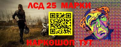 крисы Гай