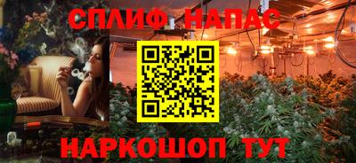 крисы Гай
